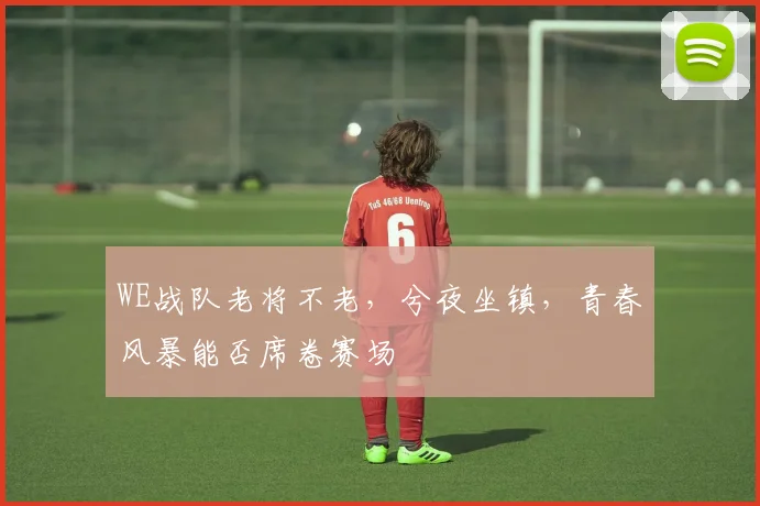 WE战队老将不老,兮夜坐镇,青春风暴能否席卷赛场