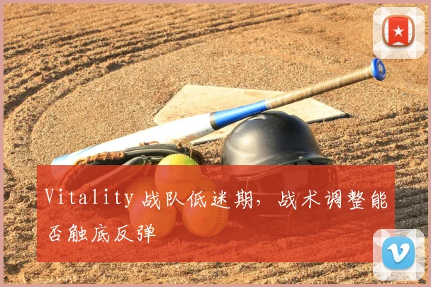 Vitality 战队低迷期，战术调整能否触底反弹