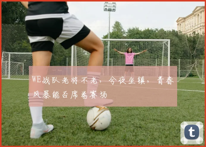WE战队老将不老,兮夜坐镇,青春风暴能否席卷赛场